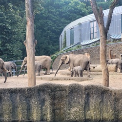 Zoos